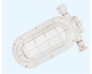 威海矿用隔爆型LED支架灯